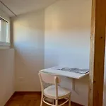 Apartament Quiet Attic-apartment Center Berno